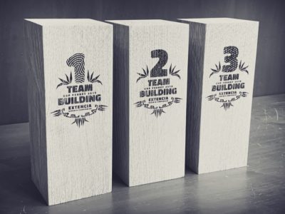 Trophées en bois massif pour un team building Extencia